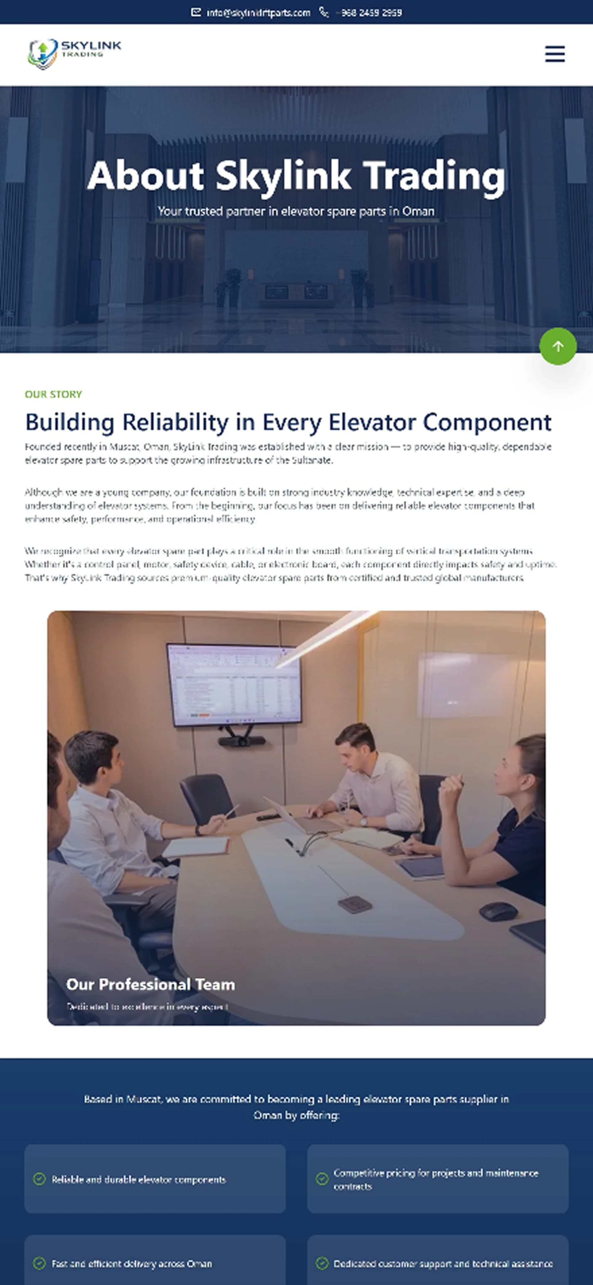 Skylink Website - secondary
